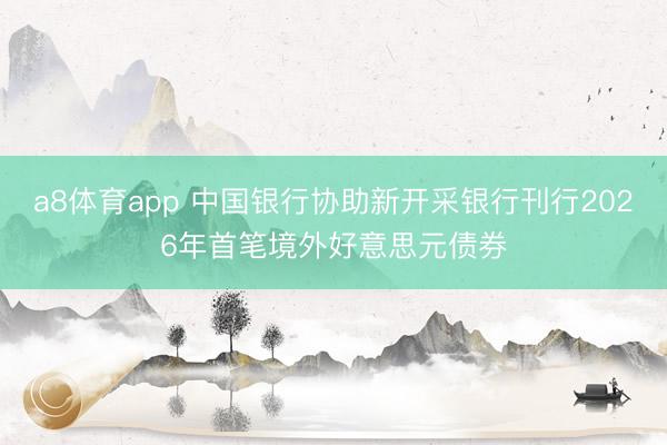 a8体育app 中国银行协助新开采银行刊行2026年首笔境外好意思元债券