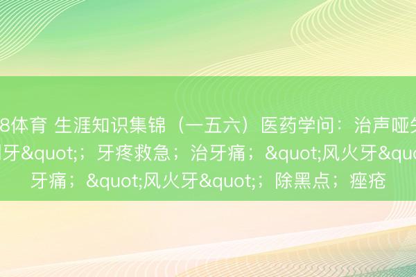 a8体育 生涯知识集锦(一五六)医药学问:治声哑失音方;治"倒牙";牙疼救急;治牙痛;"风火牙";除黑点;痤疮