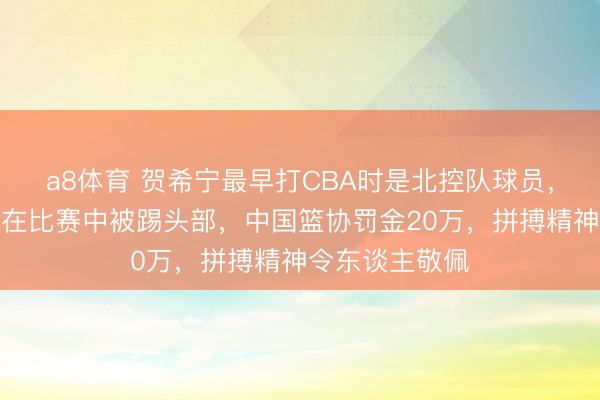 a8体育 贺希宁最早打CBA时是北控队球员，遭遇马布里却在比赛中被踢头部，中国篮协罚金20万，拼搏精神令东谈主敬佩