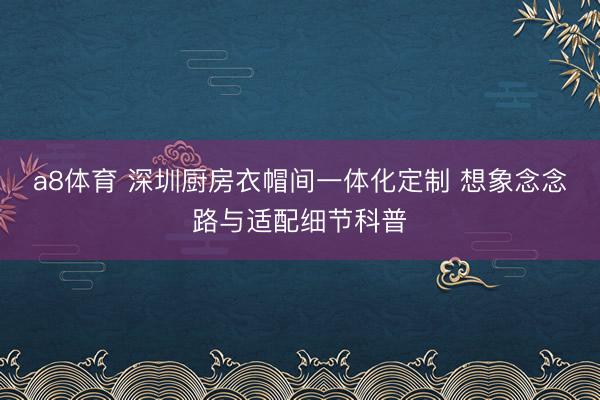 a8体育 深圳厨房衣帽间一体化定制 想象念念路与适配细节科普