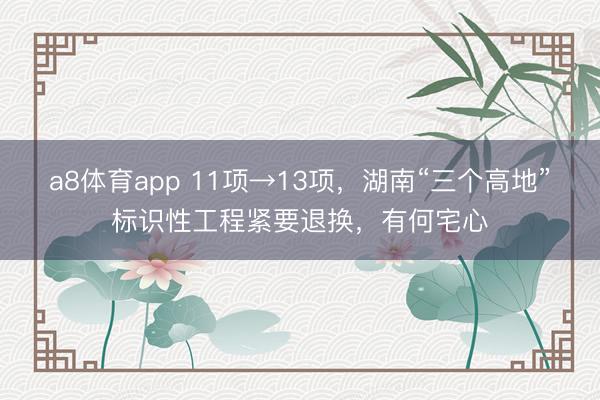 a8体育app 11项→13项，湖南“三个高地”标识性工程紧要退换，有何宅心