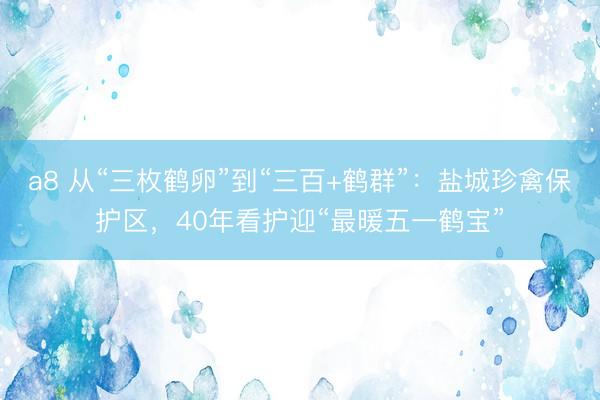 a8 从“三枚鹤卵”到“三百+鹤群”：盐城珍禽保护区，40年看护迎“最暖五一鹤宝”