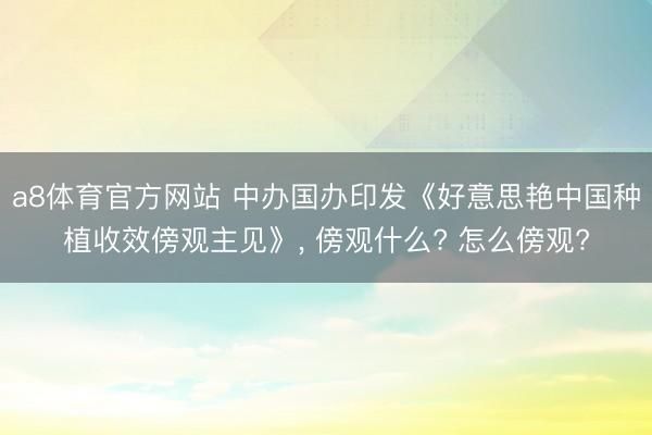 a8体育官方网站 中办国办印发《好意思艳中国种植收效傍观主见》， 傍观什么? 怎么傍观?